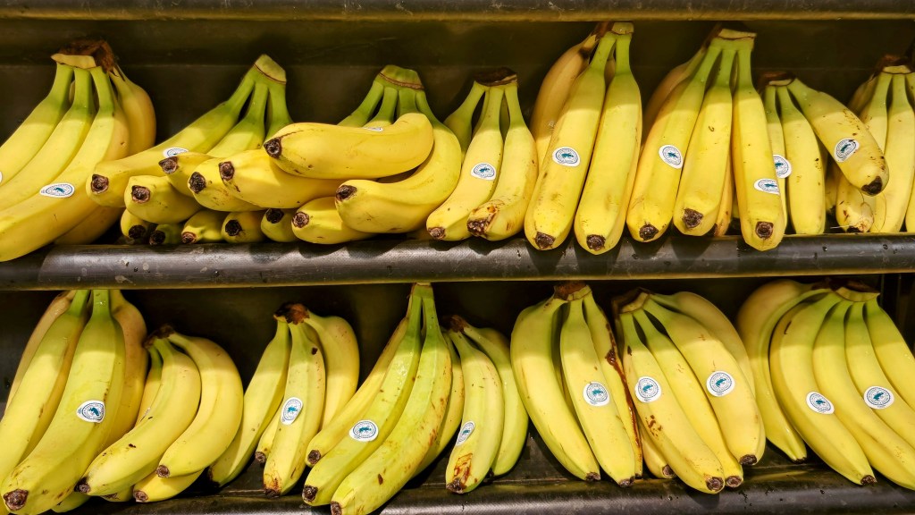 Ripe bananas lined up on two rows of shelves