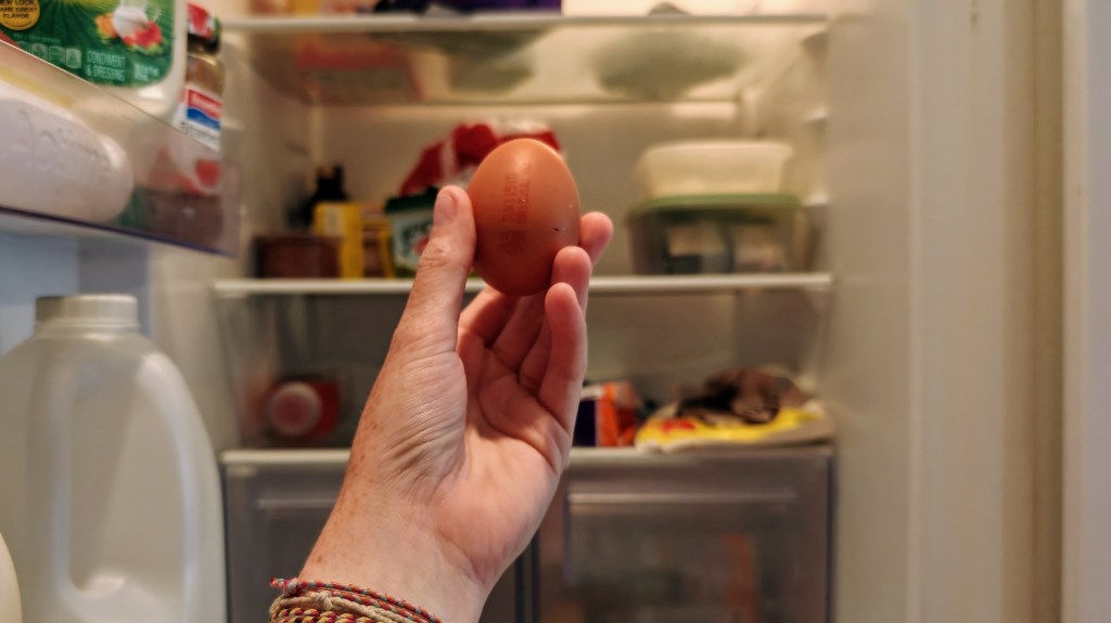 Where is the best place to store chicken&nbsp;eggs?